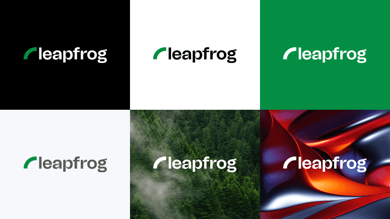 Leapfrog logo experience